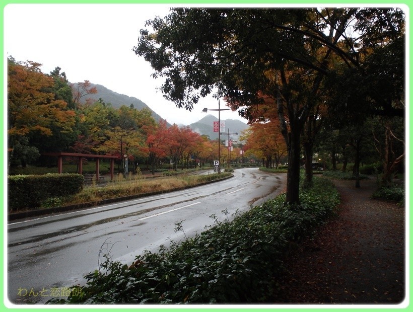 f:id:yasukazu01:20171029202031j:plain