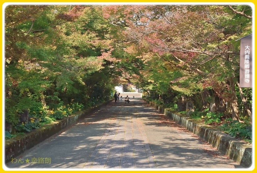 f:id:yasukazu01:20171106174841j:plain f:id:yasukazu01:20171106174841j:plain