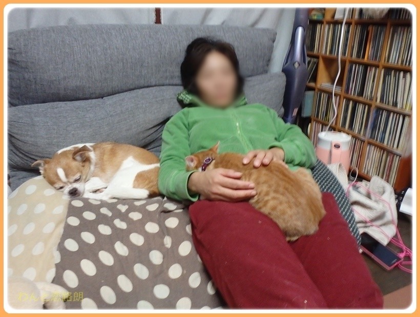 f:id:yasukazu01:20171110182016j:plain