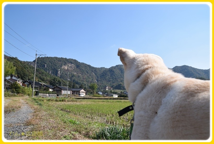 f:id:yasukazu01:20171110182332j:plain