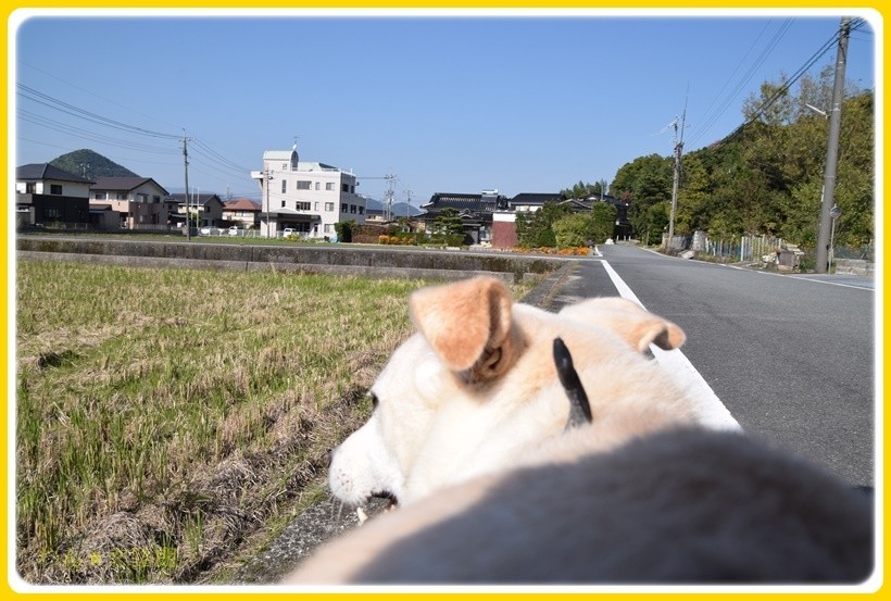 f:id:yasukazu01:20171110183340j:plain