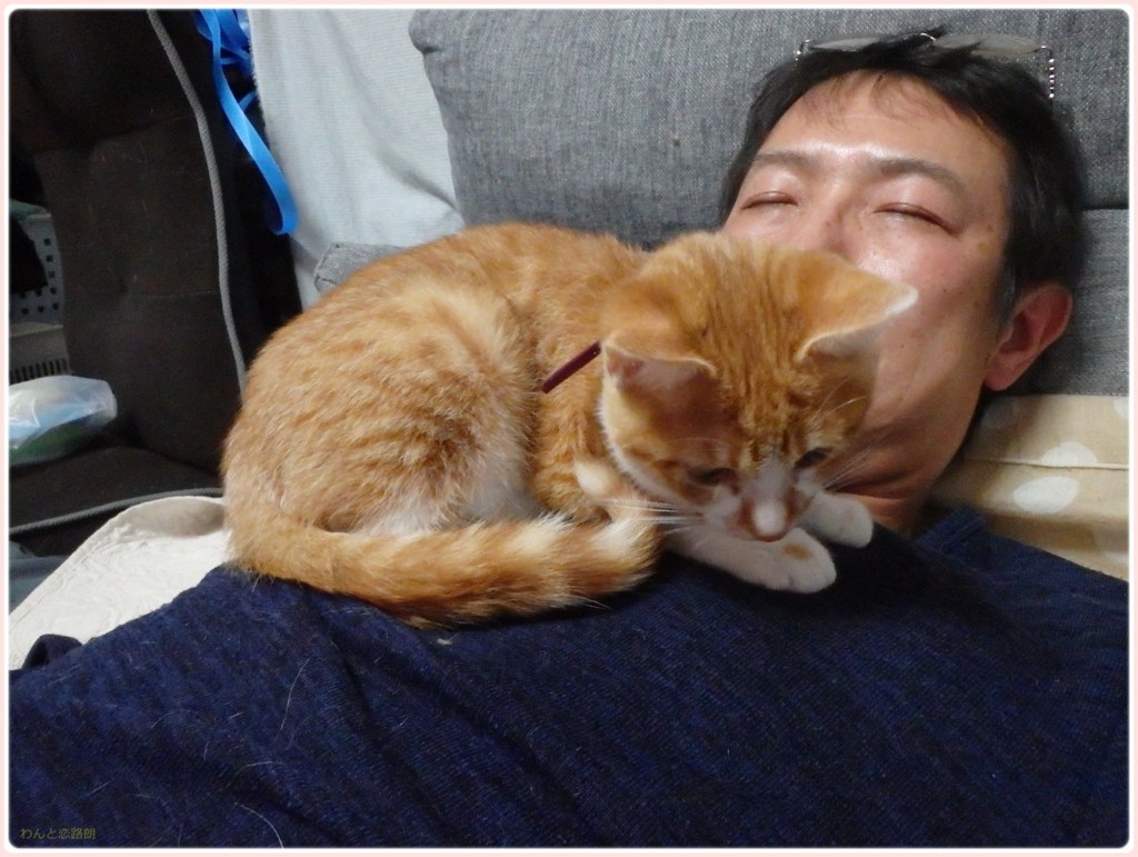f:id:yasukazu01:20171115145404j:plain