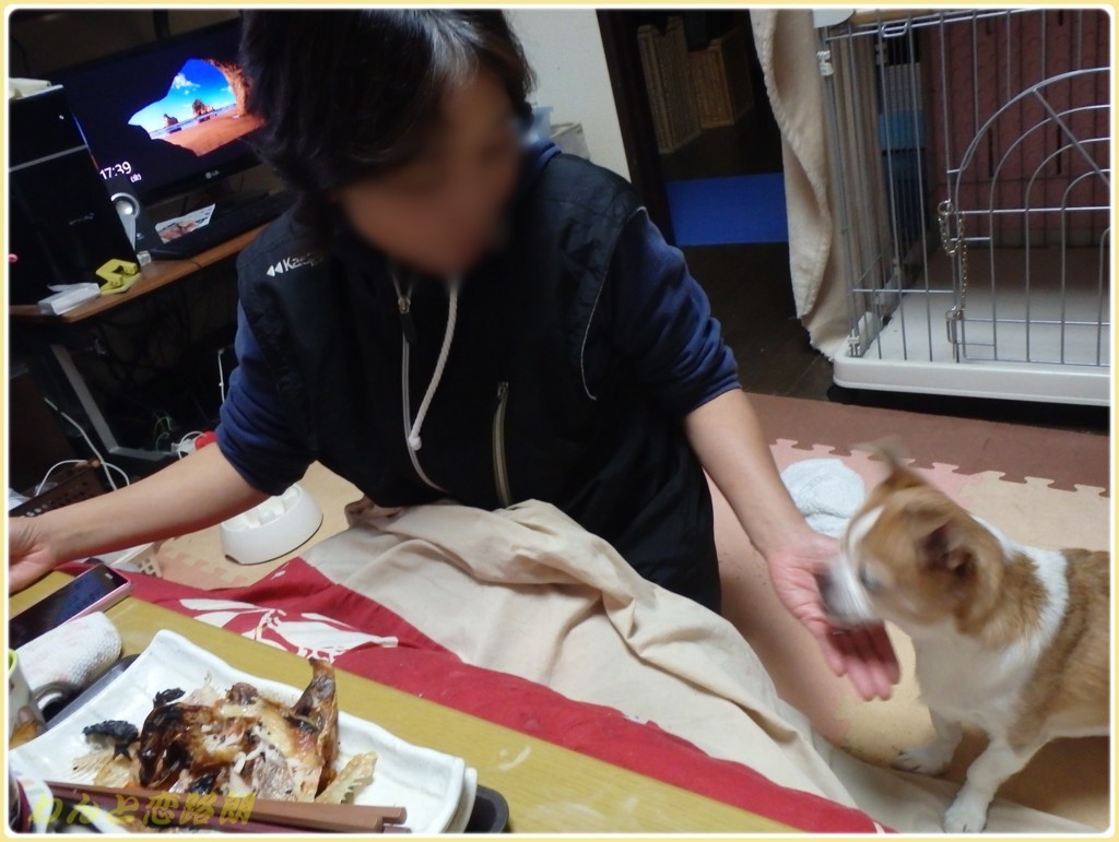 f:id:yasukazu01:20171208182840j:plain