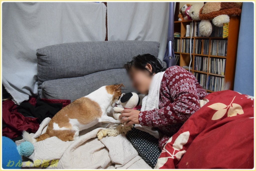 f:id:yasukazu01:20171208183048j:plain