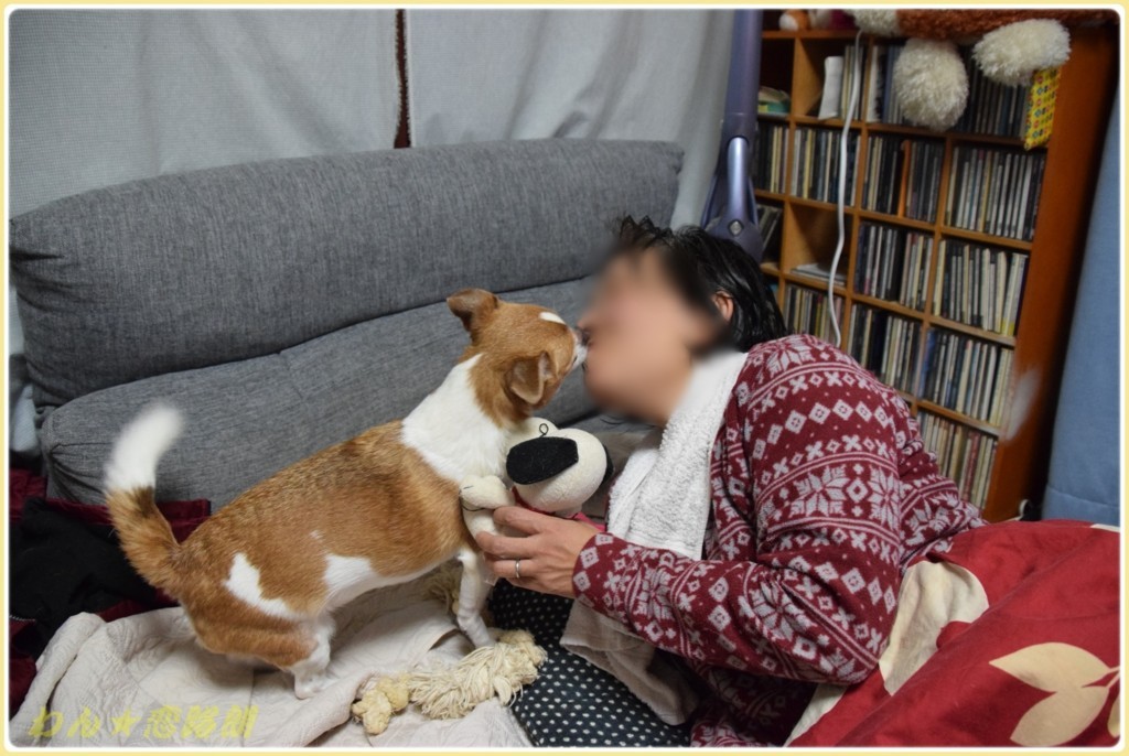 f:id:yasukazu01:20171208183214j:plain