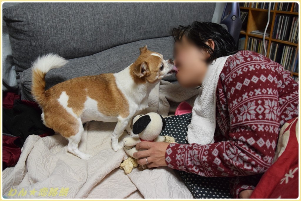 f:id:yasukazu01:20171208183317j:plain