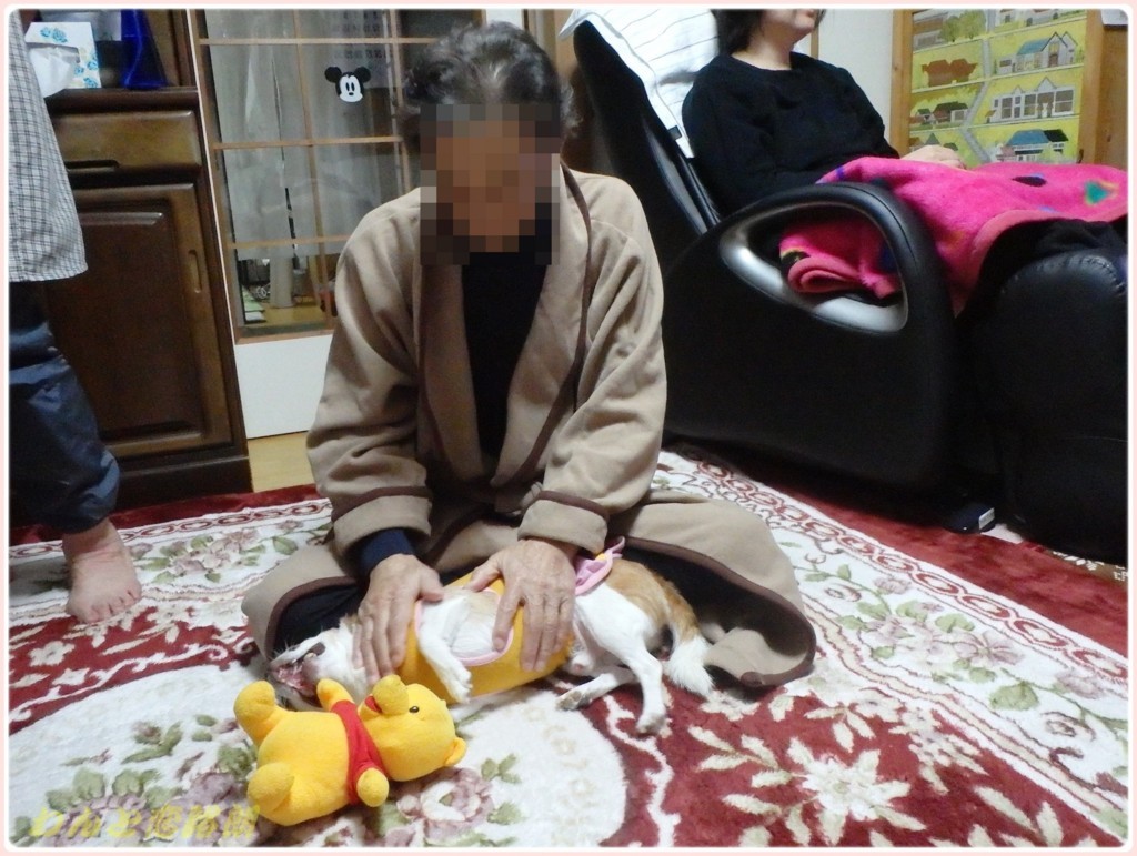 f:id:yasukazu01:20171210215358j:plain f:id:yasukazu01:20171210215358j:plain