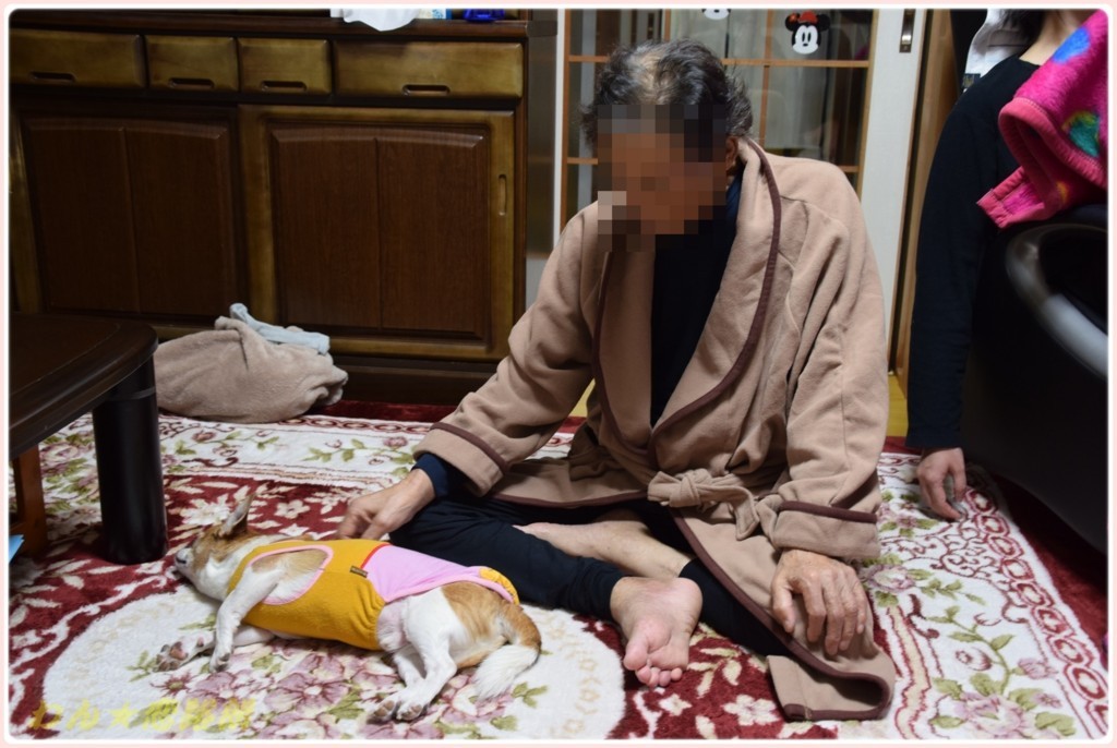 f:id:yasukazu01:20171210220012j:plain f:id:yasukazu01:20171210220012j:plain