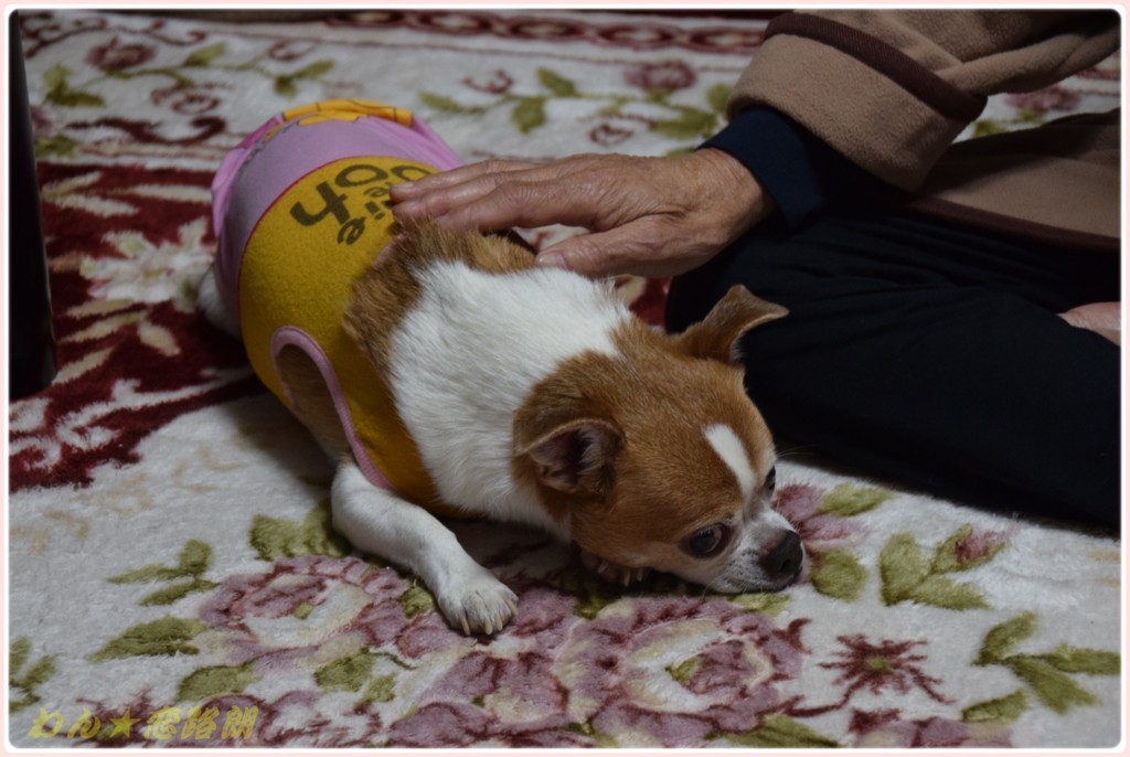 f:id:yasukazu01:20171210220633j:plain f:id:yasukazu01:20171210220633j:plain