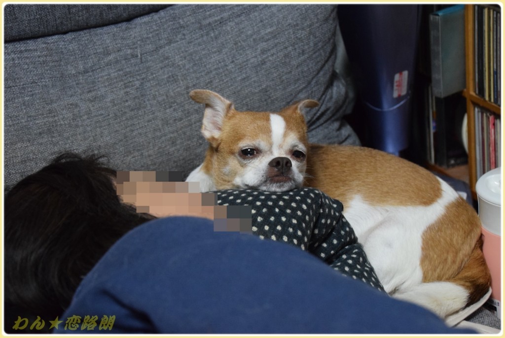 f:id:yasukazu01:20171212145212j:plain