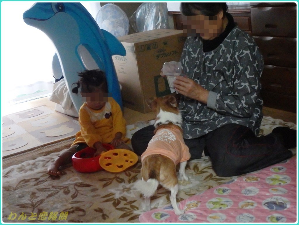 f:id:yasukazu01:20171217144639j:plain