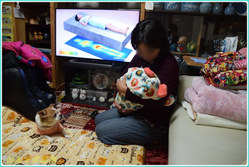 f:id:yasukazu01:20171217150149j:plain