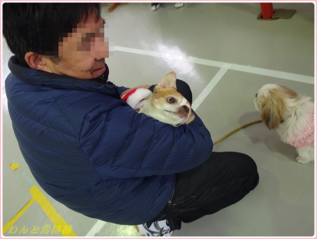 f:id:yasukazu01:20171222183837j:plain