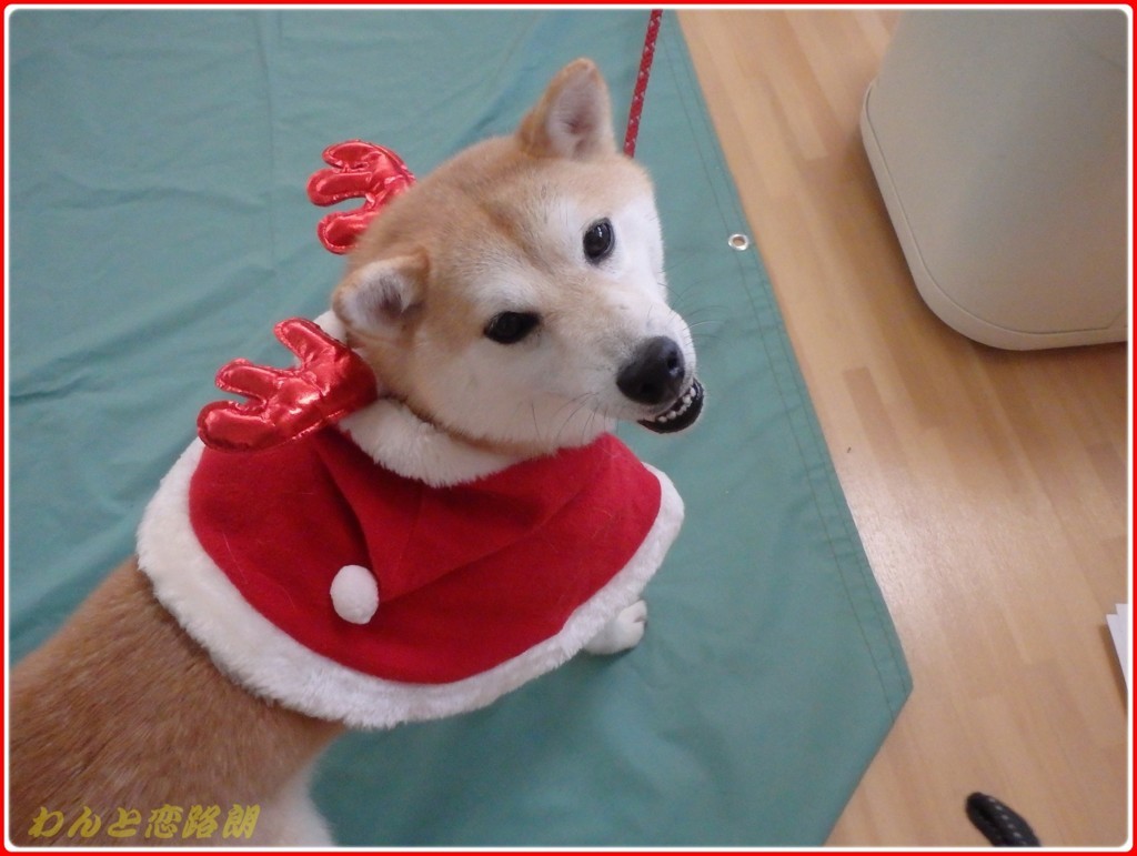 f:id:yasukazu01:20171226131650j:plain