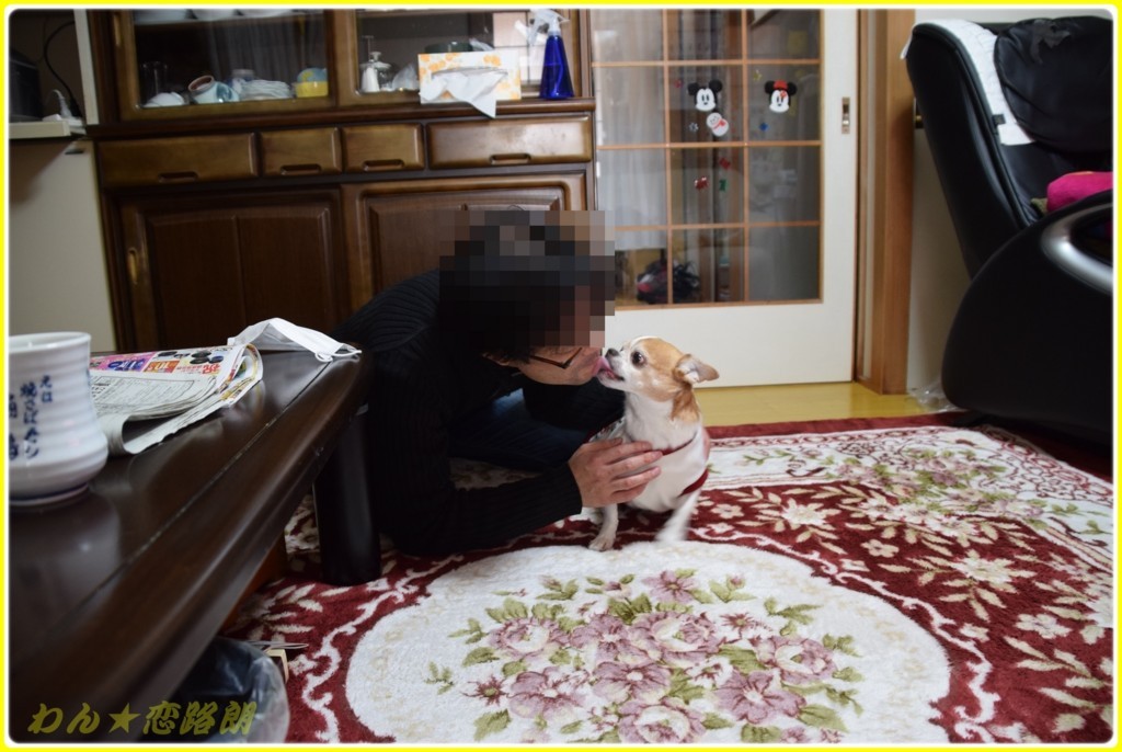 f:id:yasukazu01:20180117143222j:plain