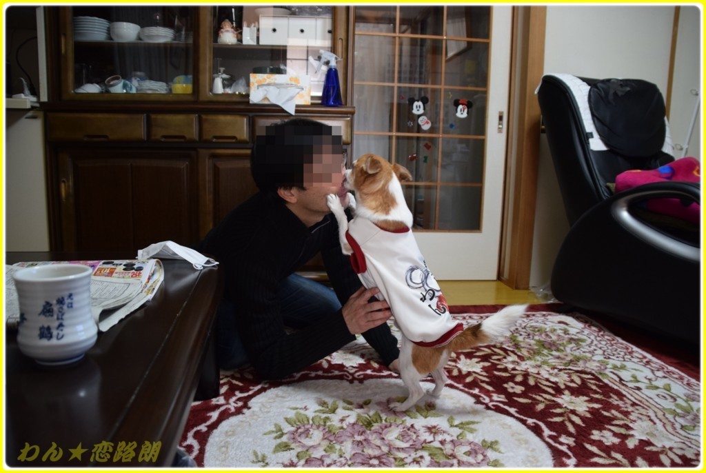 f:id:yasukazu01:20180117143310j:plain