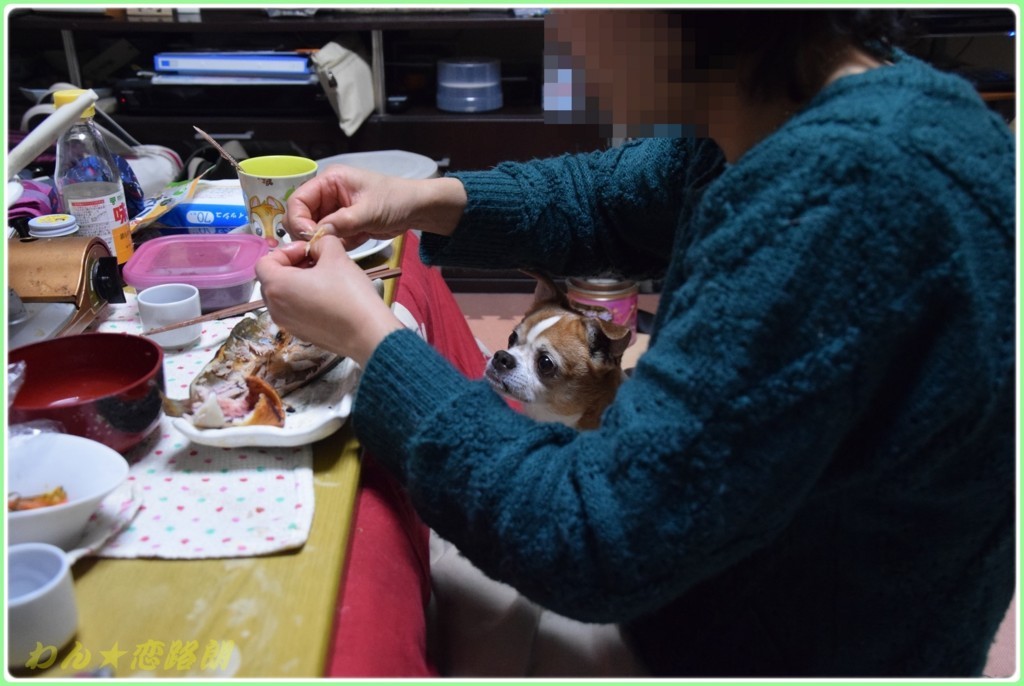 f:id:yasukazu01:20180121182132j:plain
