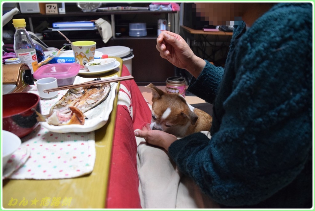 f:id:yasukazu01:20180121182238j:plain