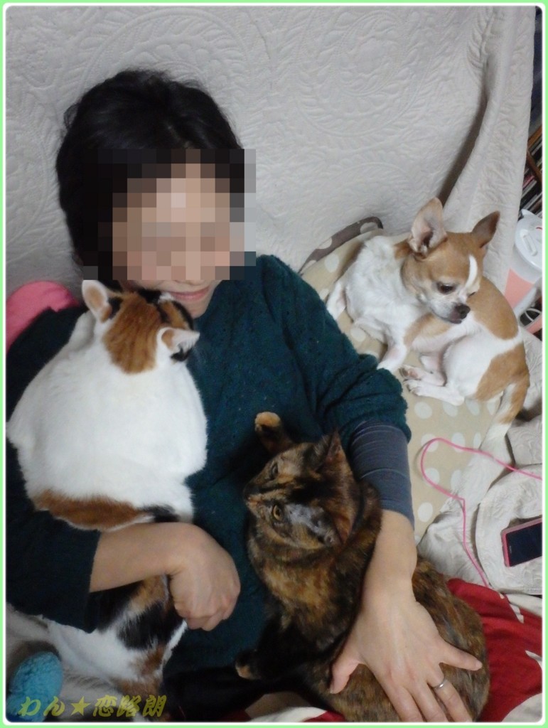 f:id:yasukazu01:20180123185055j:plain