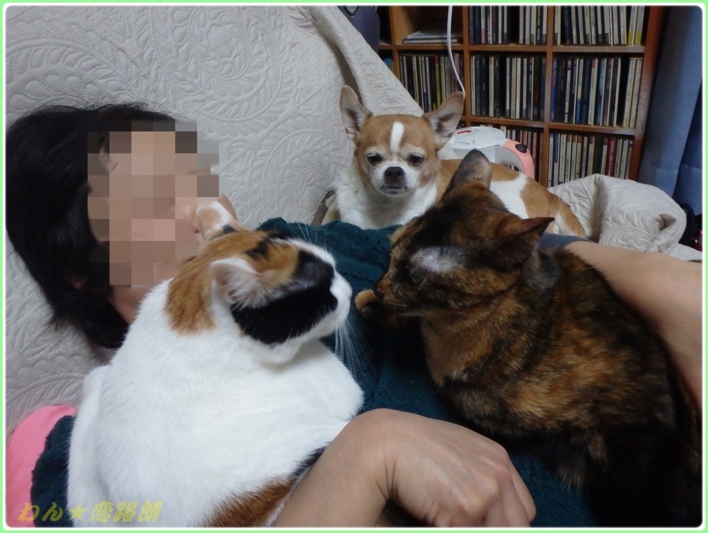 f:id:yasukazu01:20180123185215j:plain