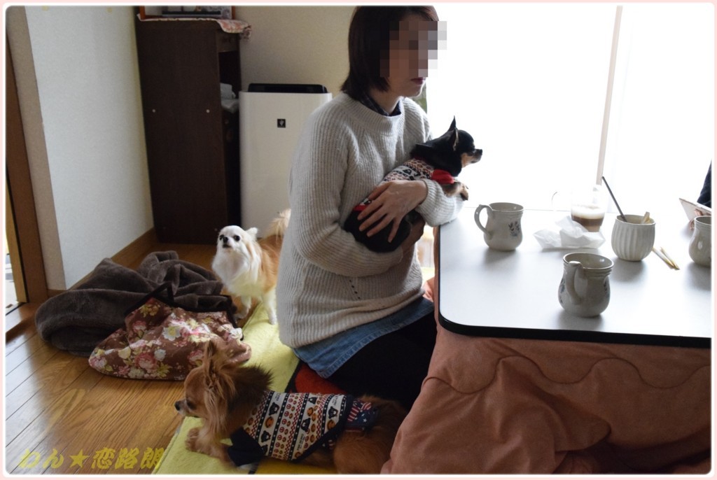 f:id:yasukazu01:20180130143456j:plain