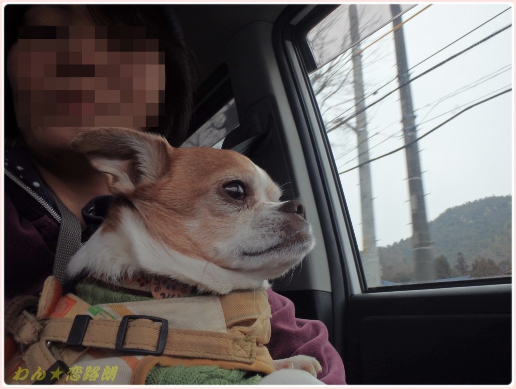 f:id:yasukazu01:20180225193748j:plain