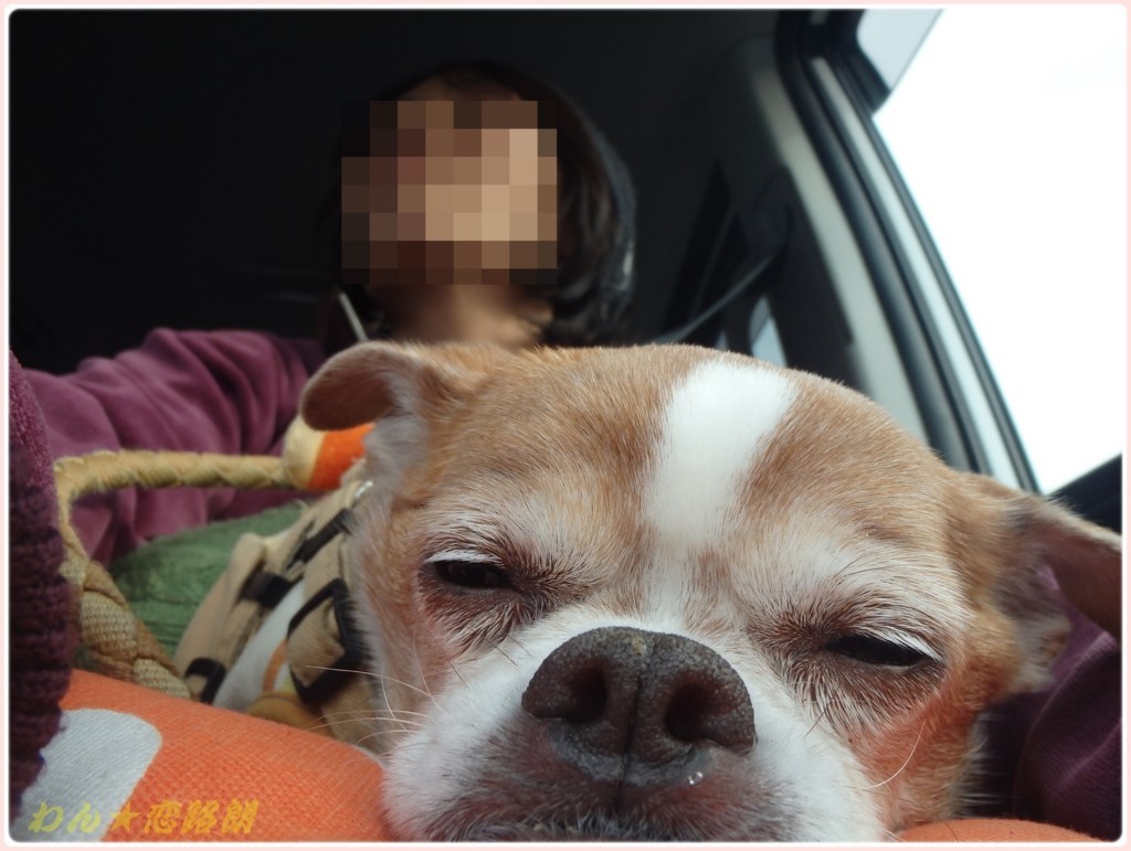 f:id:yasukazu01:20180227140955j:plain