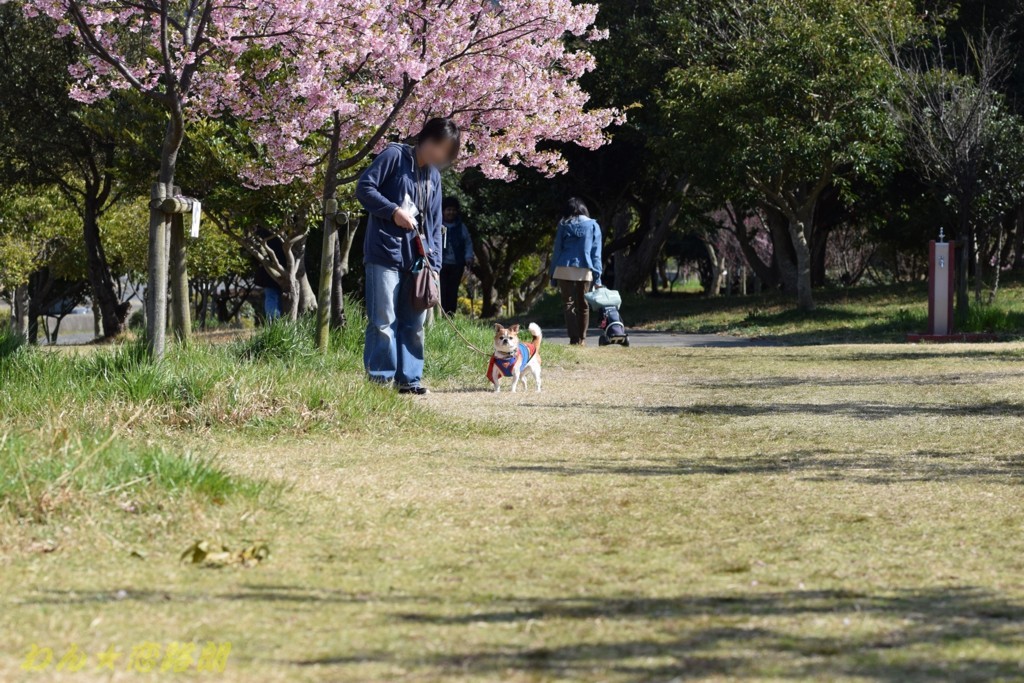 f:id:yasukazu01:20180320174414j:plain