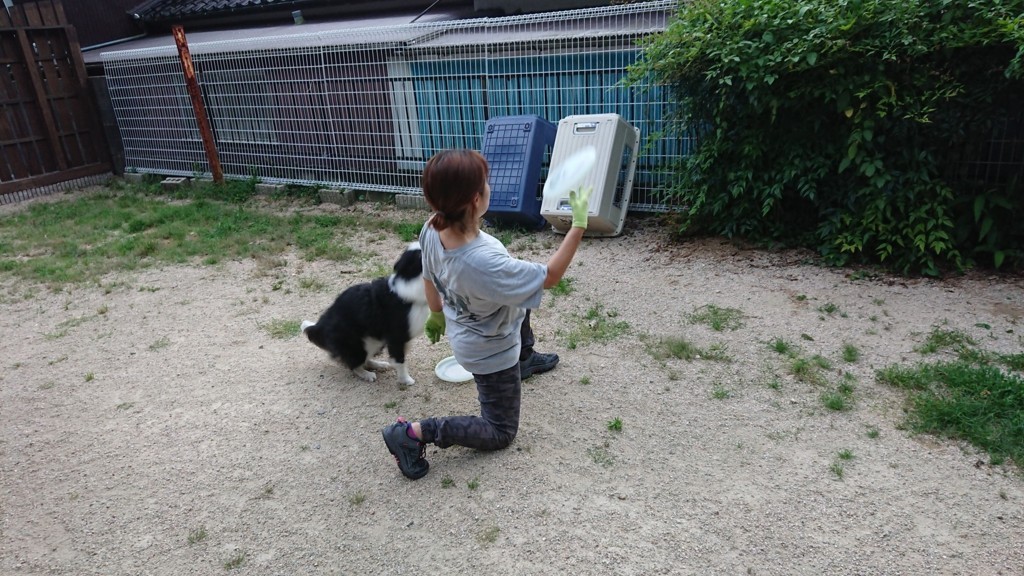 f:id:yasukazu01:20180713190110j:plain