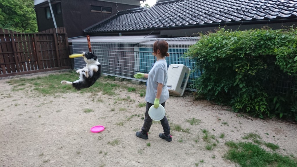 f:id:yasukazu01:20180713190208j:plain