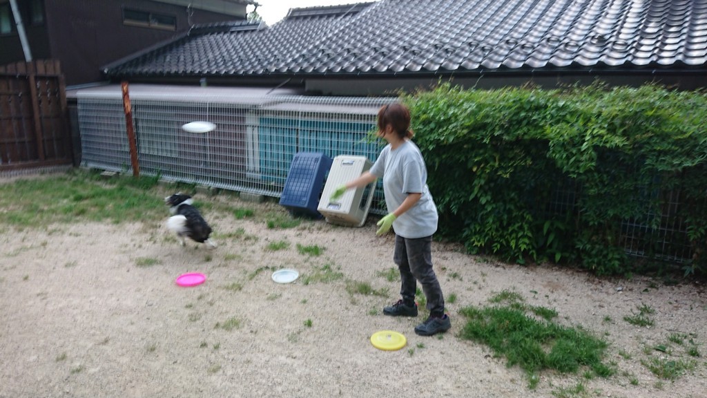 f:id:yasukazu01:20180713190218j:plain