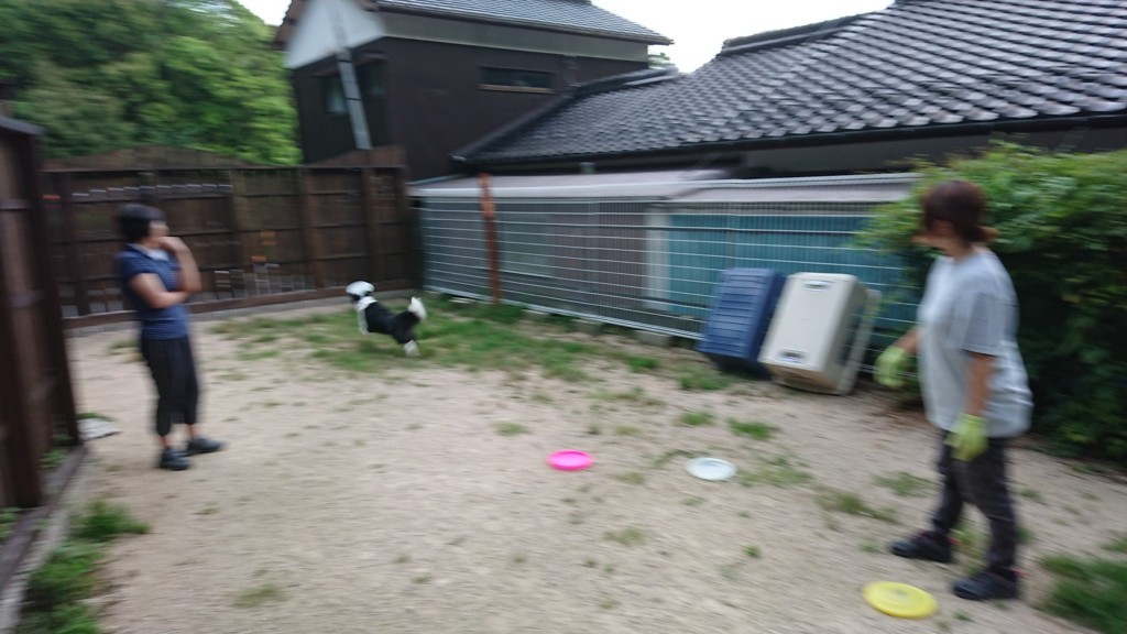 f:id:yasukazu01:20180713190219j:plain