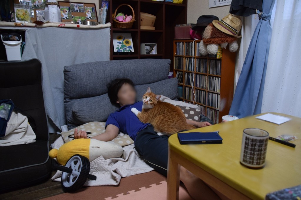 f:id:yasukazu01:20180728155511j:plain
