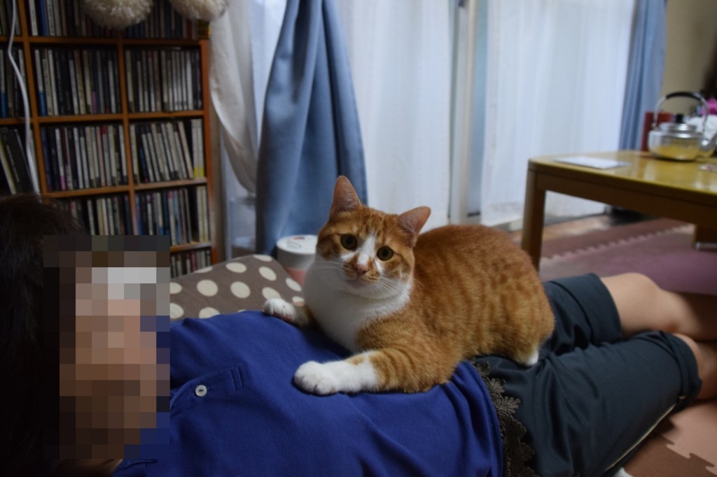 f:id:yasukazu01:20180728155627j:plain