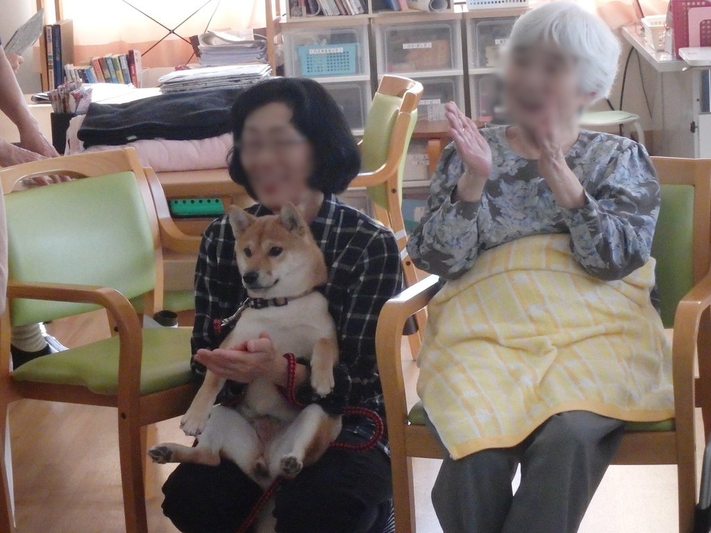 f:id:yasukazu01:20181020154707j:plain