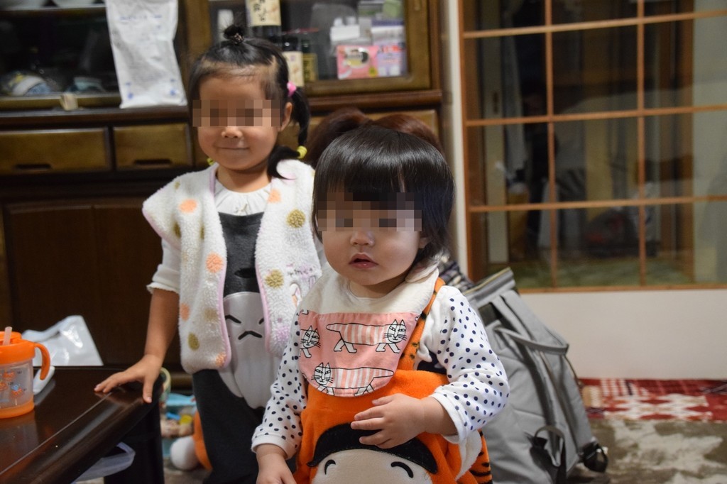 f:id:yasukazu01:20190110143232j:plain