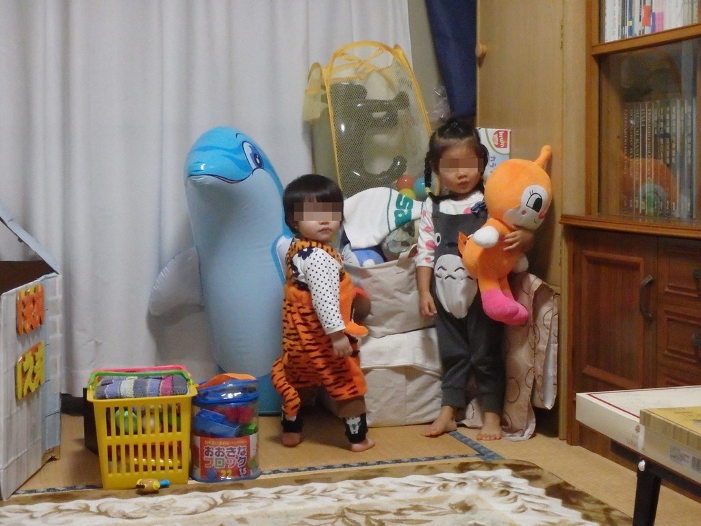 f:id:yasukazu01:20190110143824j:plain