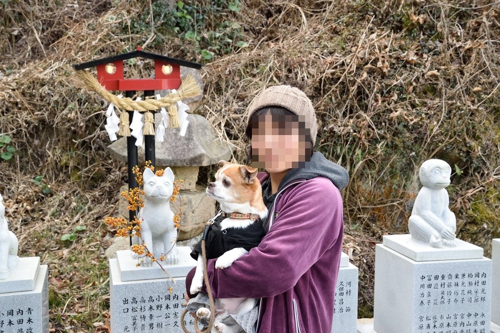 f:id:yasukazu01:20190216205327j:plain f:id:yasukazu01:20190216205327j:plain