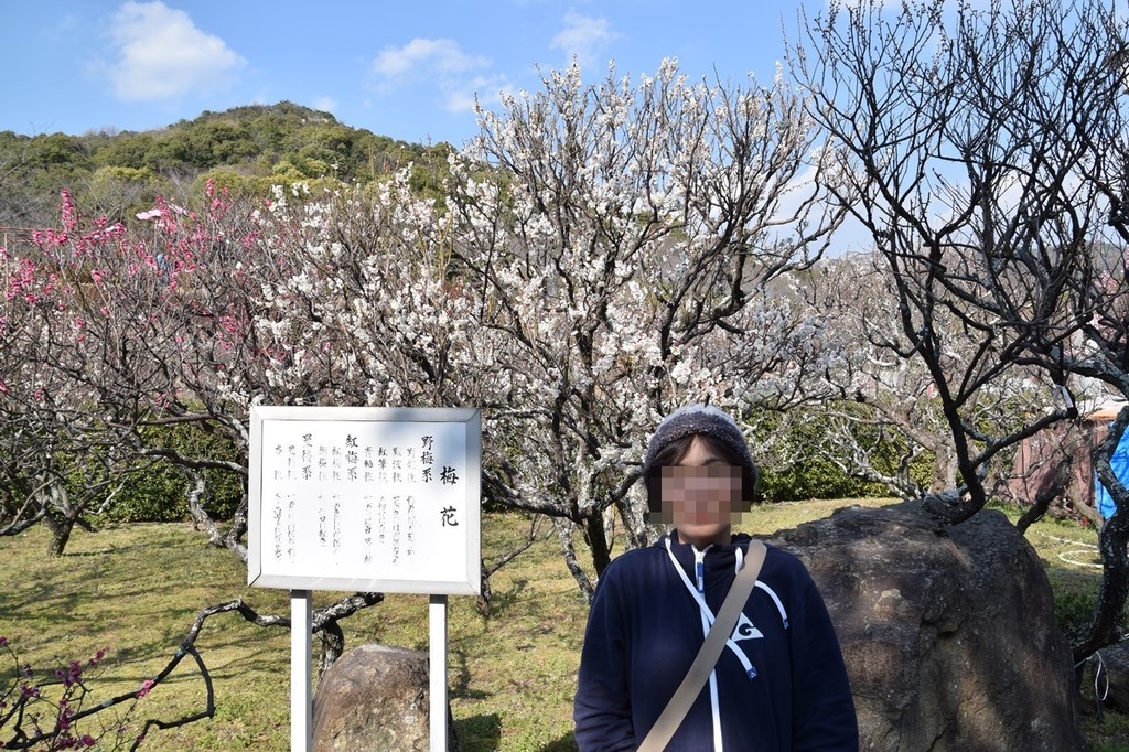 f:id:yasukazu01:20190219155155j:plain