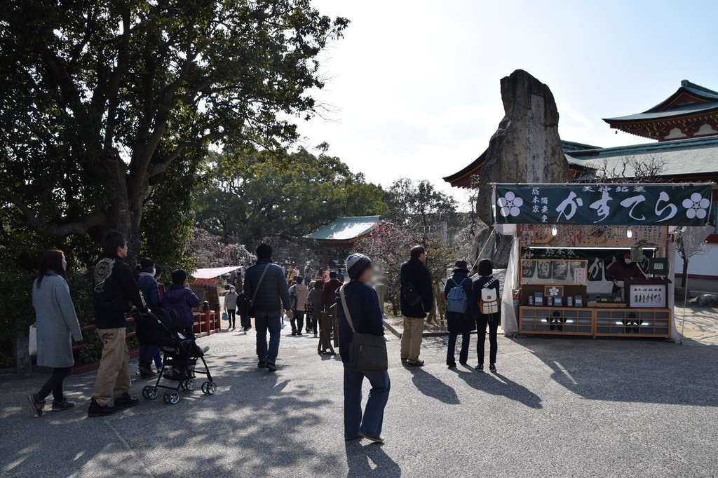 f:id:yasukazu01:20190219155358j:plain
