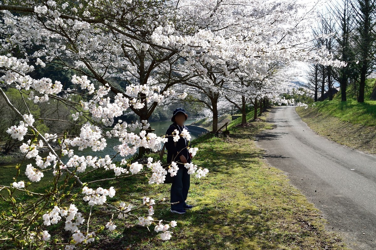 f:id:yasukazu01:20190416150047j:plain