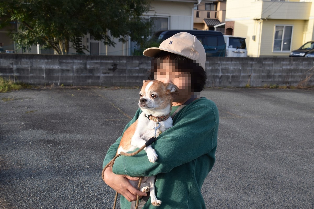 f:id:yasukazu01:20190418144924j:plain