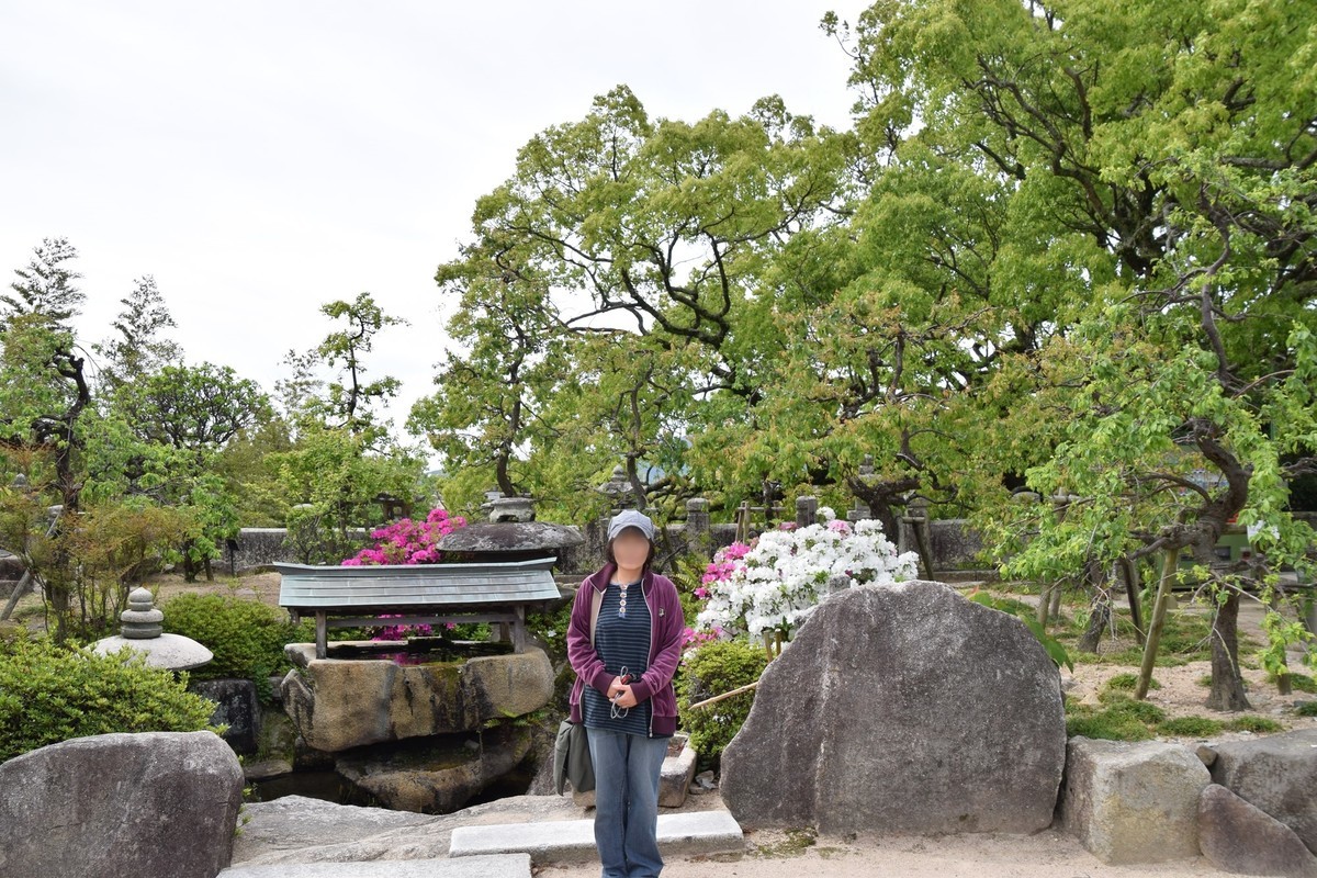 f:id:yasukazu01:20190511125529j:plain