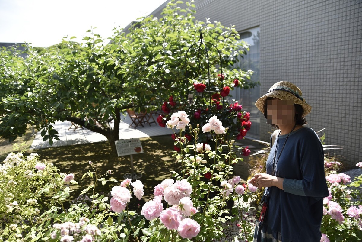 f:id:yasukazu01:20190611175258j:plain