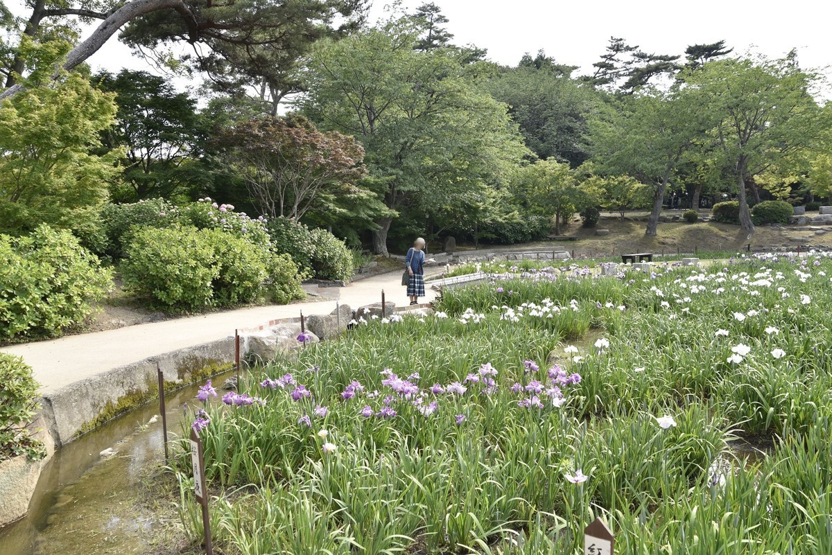 f:id:yasukazu01:20190613171845j:plain