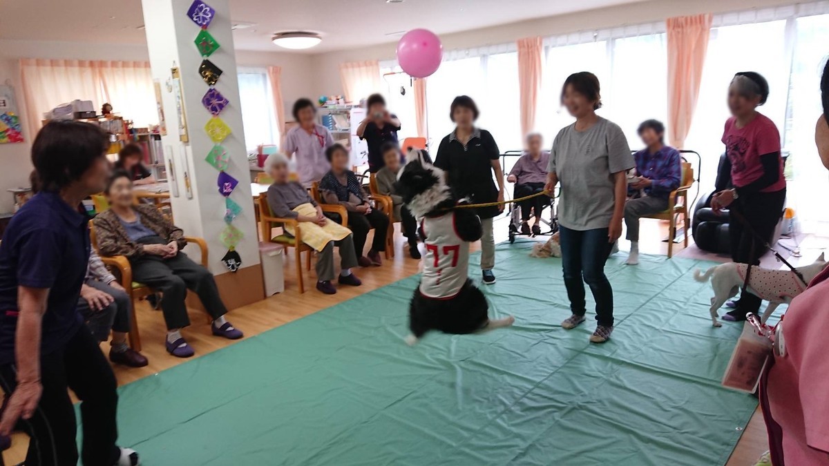 f:id:yasukazu01:20190615184652j:plain