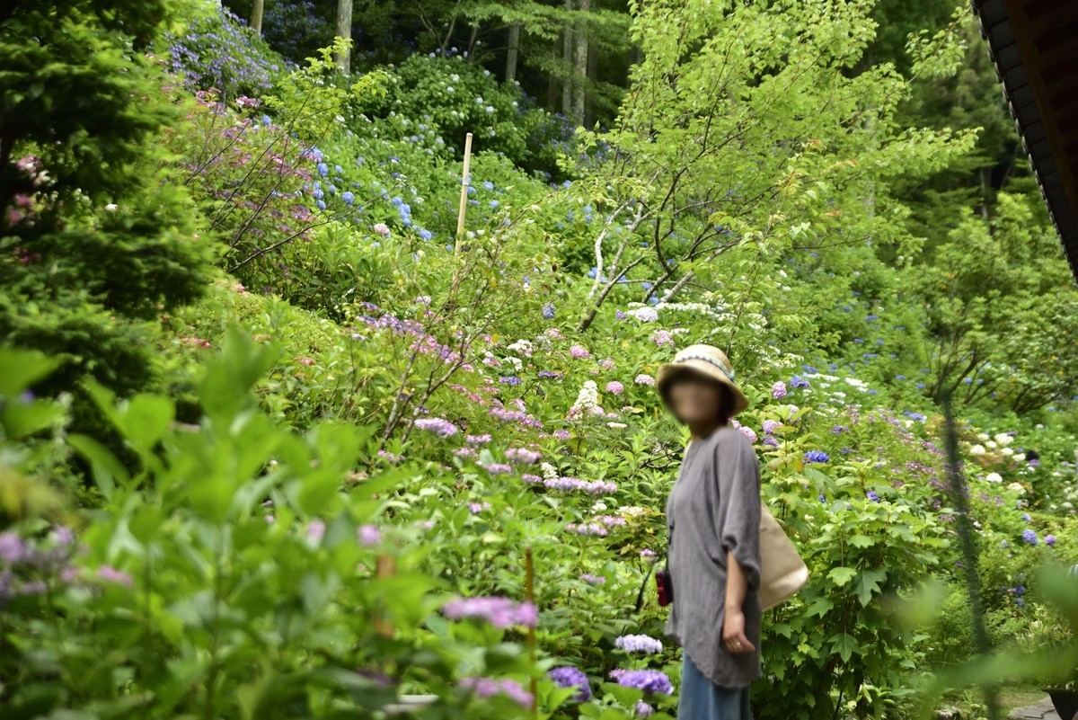 f:id:yasukazu01:20190704152108j:plain f:id:yasukazu01:20190704152108j:plain