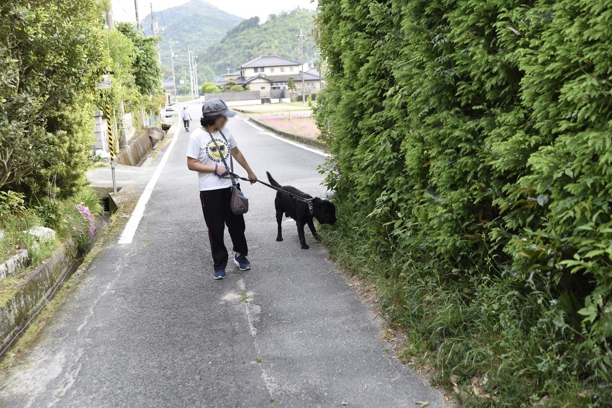 f:id:yasukazu01:20190717151800j:plain