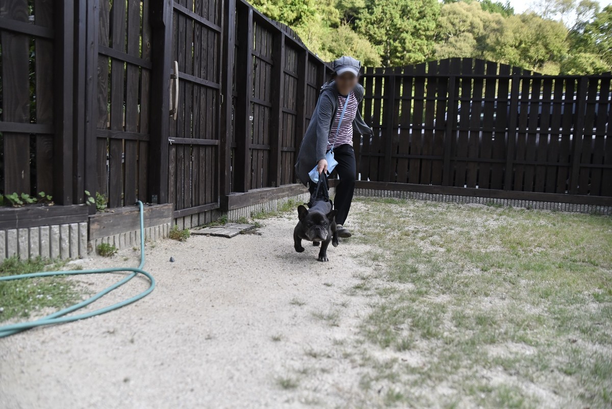 f:id:yasukazu01:20190904143158j:plain