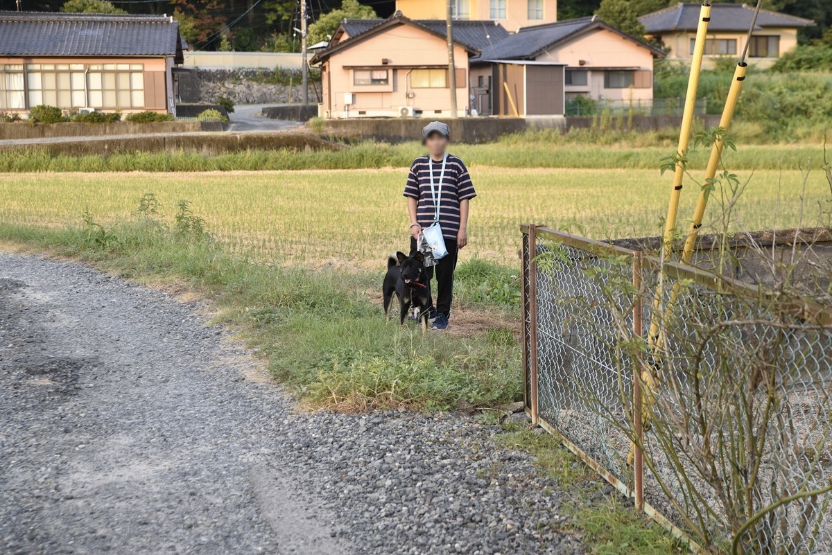 f:id:yasukazu01:20190921194413j:plain